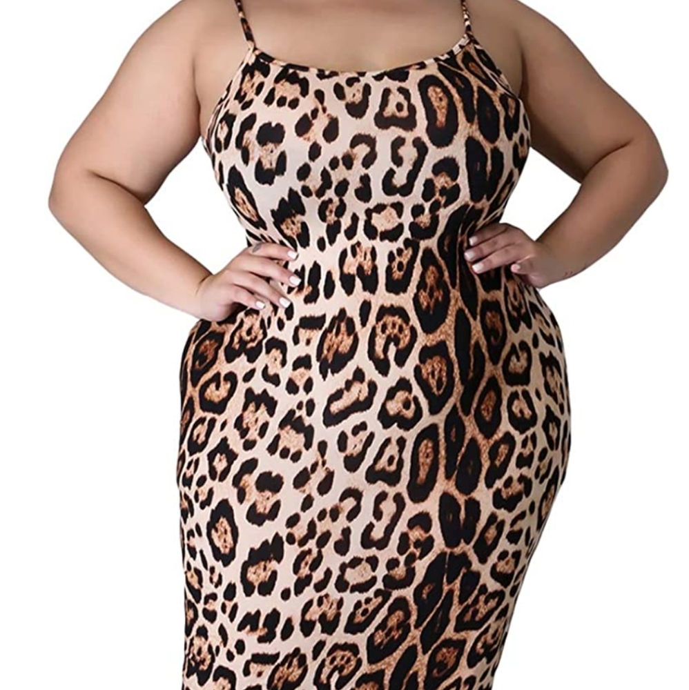 Leopard Print Dress